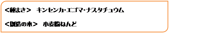 オートシェイプ: ＜種まき＞　キンセンカ・エゴマ・ナスタチュウム　
＜創造の木＞　小麦粉ねんど
