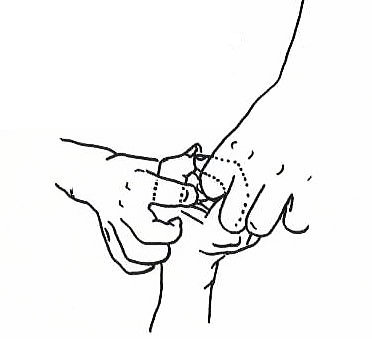 @ƌŒlʂ̎@