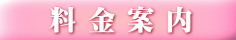 料金案内 料金案内