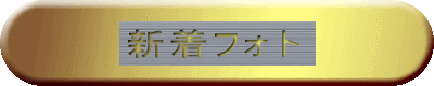 新着フォト